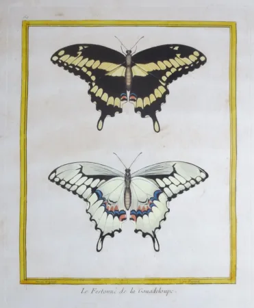 Paire de gravure de Martinet, XVIIIe siècle.