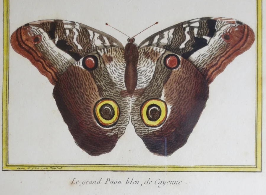 Paire de gravure de Martinet, XVIIIe siècle.