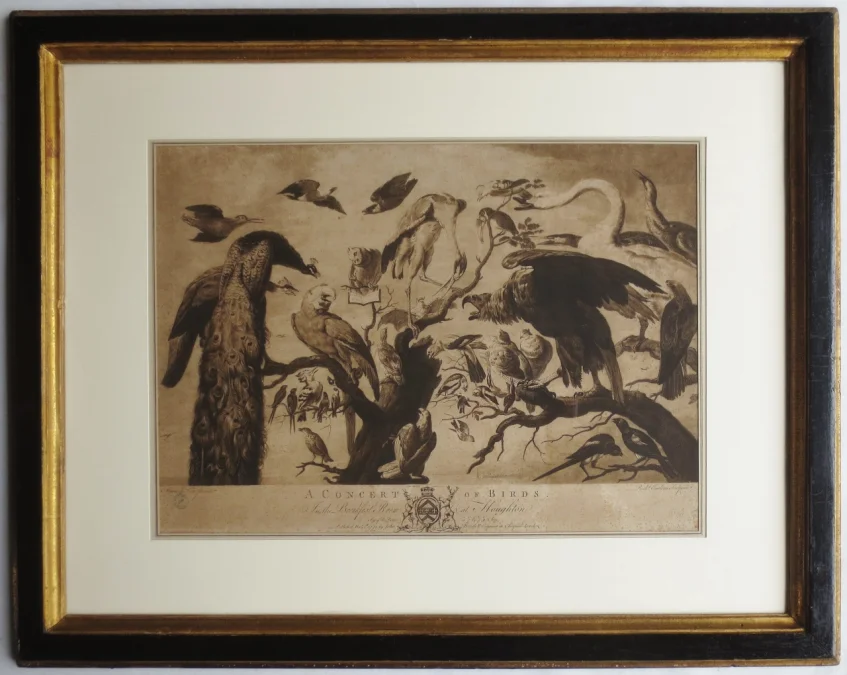 Gravure XVIIIe siècle, « A Concert of Birds ».