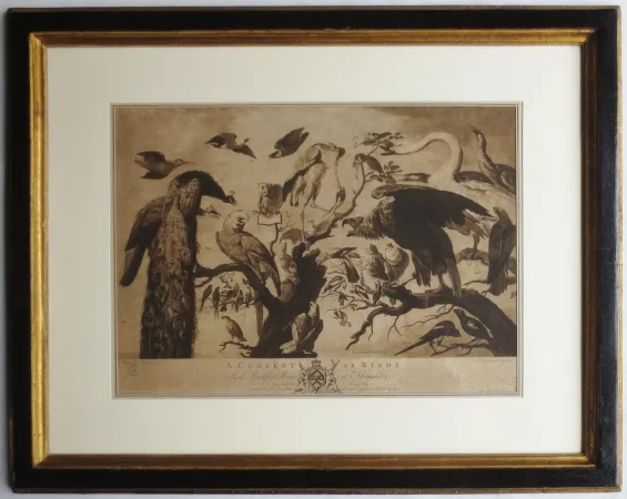 Gravure XVIIIe siècle, « A Concert of Birds ».