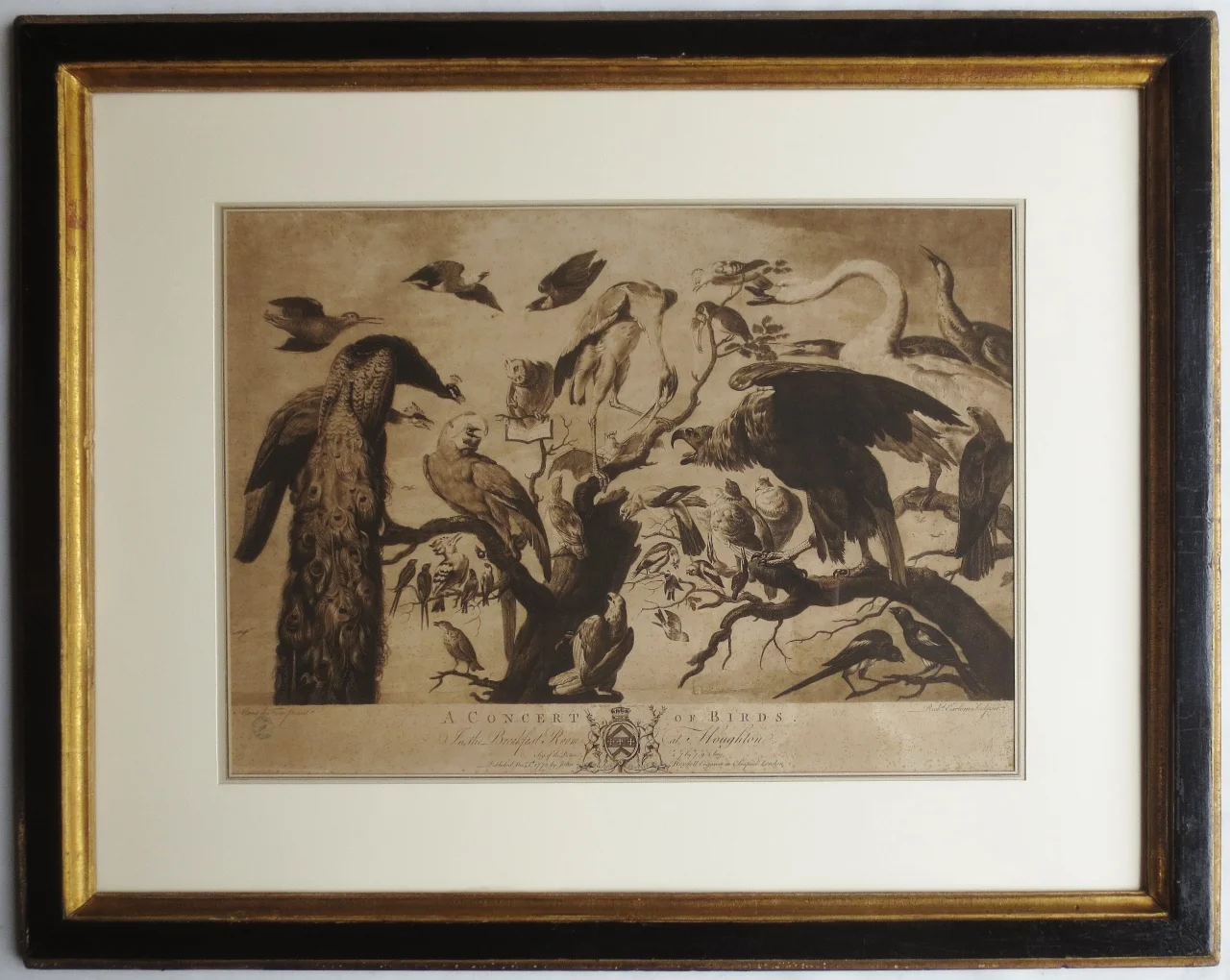 EIGHTEENTH CENTURY PRINT, « A Concert of Birds ».