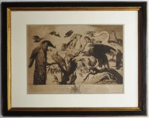 STAMPA DEL XVIII SECOLO, «Un concerto di uccelli».
