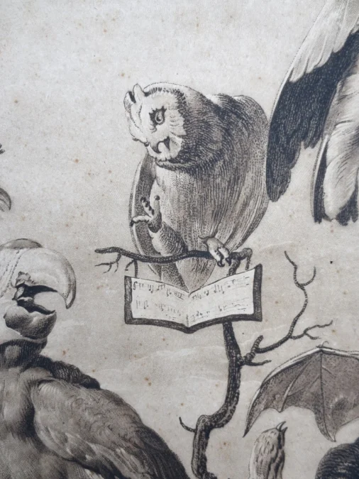Gravure XVIIIe siècle, « A Concert of Birds ».