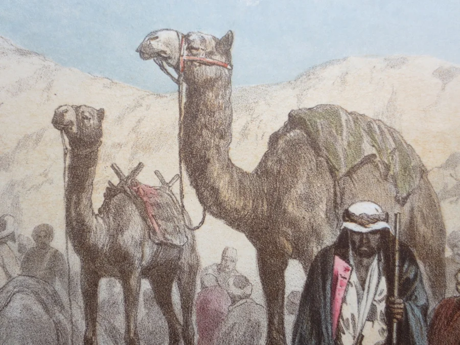 Vues d’Égypte.