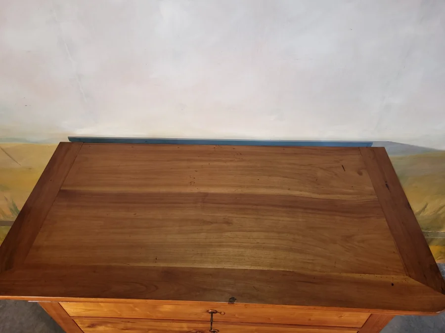 LOUIS PHILIPPE PERIOD CHEST OF DRAWERS
