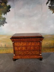 CASSETTIERA DEL PERIODO DI LOUIS PHILIPPE