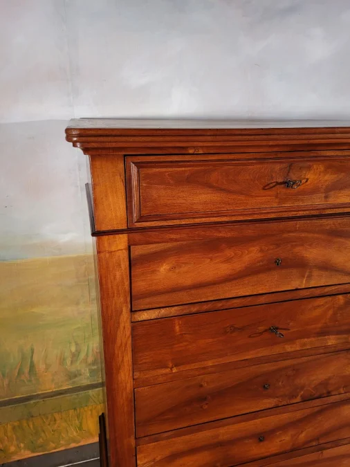 LOUIS PHILIPPE PERIOD CHEST OF DRAWERS