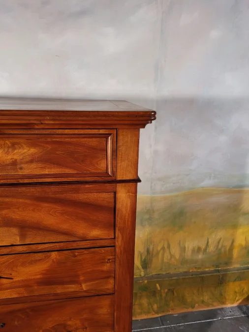 LOUIS PHILIPPE PERIOD CHEST OF DRAWERS