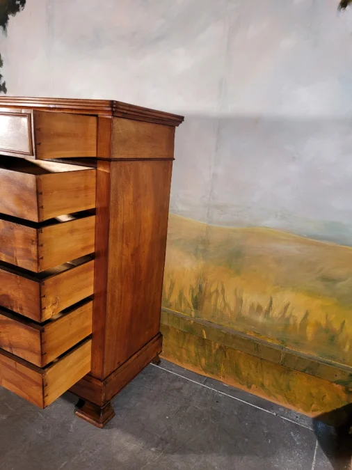 LOUIS PHILIPPE PERIOD CHEST OF DRAWERS