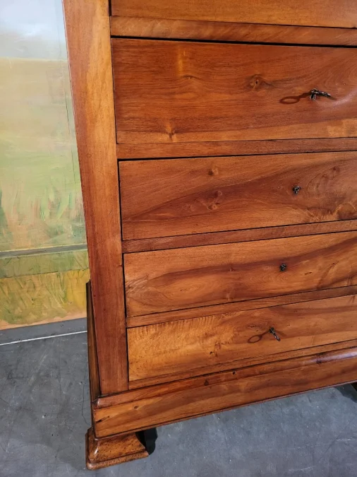 LOUIS PHILIPPE PERIOD CHEST OF DRAWERS