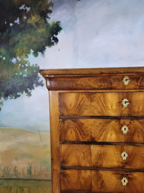 semainier, grande commode époque Louis Philippe