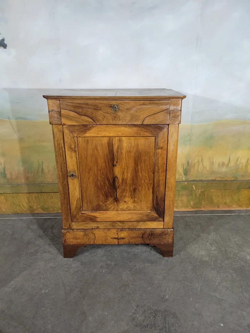 LOUIS PHILIPPE PERIOD CUPBOARD