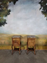 Coppia di comodini in stile Luigi XV