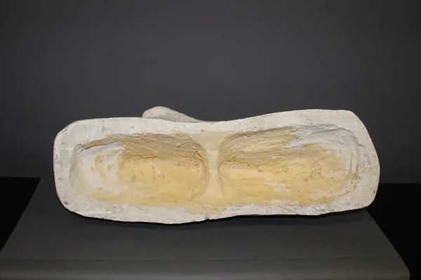 PLASTER LION