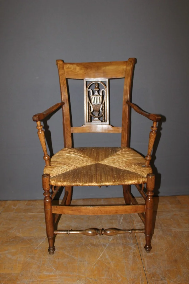 PAIR OF DIRECOIRE PERIOD ARMCHAIRS