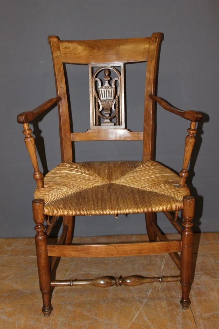 PAIR OF DIRECOIRE PERIOD ARMCHAIRS