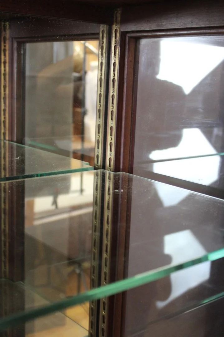 19世紀後半の展示キャビネット