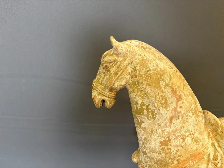 Terracotta Horse Tang Style , China Mid 20th Century