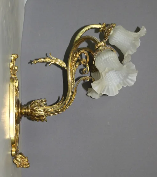 Paire d'appliques Napoléon III en Bronze Doré