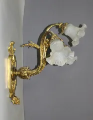 Paire d'appliques Napoléon III en Bronze Doré