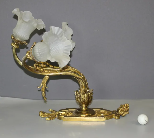 Paire d'appliques Napoléon III en Bronze Doré
