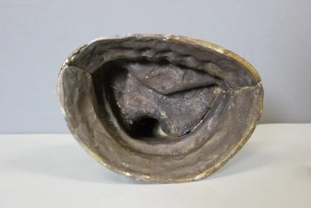 Bronze-Amoghasiddhi-Buddha, Nepal, 19. Jahrhundert — Guter Zustand
