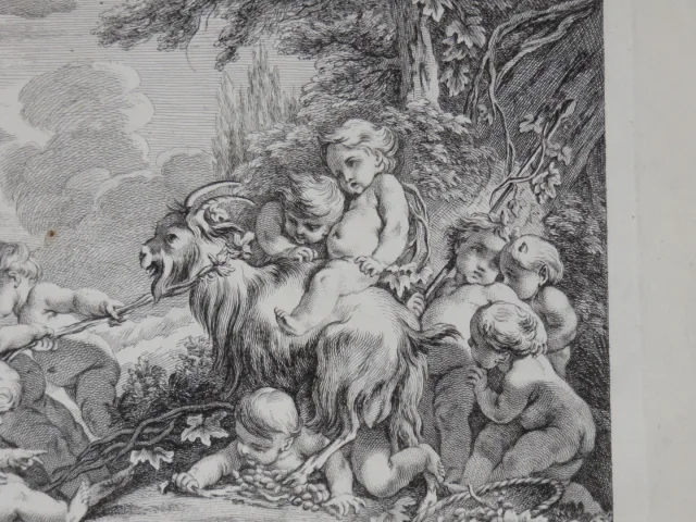 " Fête de Baccus ", Dieu de la Vigne, eau-forte époque 18ème.