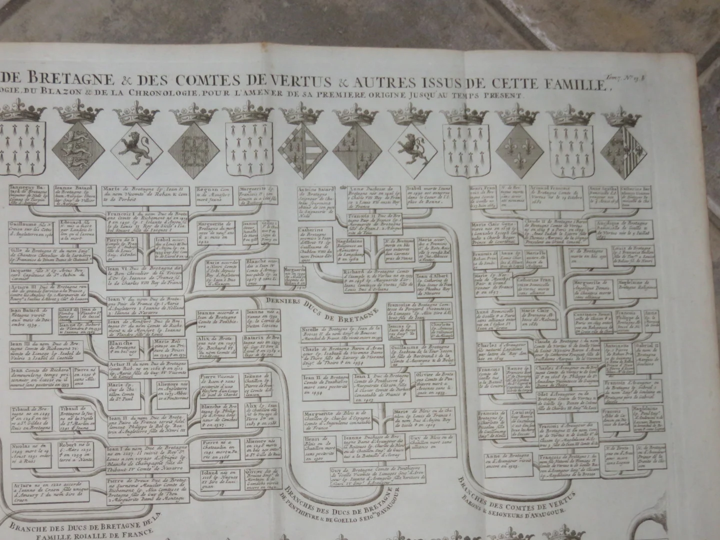 FAMILIENBAUM DER LORDS VON DREUX, BREAUSSART, MORAINVILLE, DUKES VON BRITANYBeau Seigneurs De Dreux, Beaussart, Morainville, ducs De Bretagne, époque18è