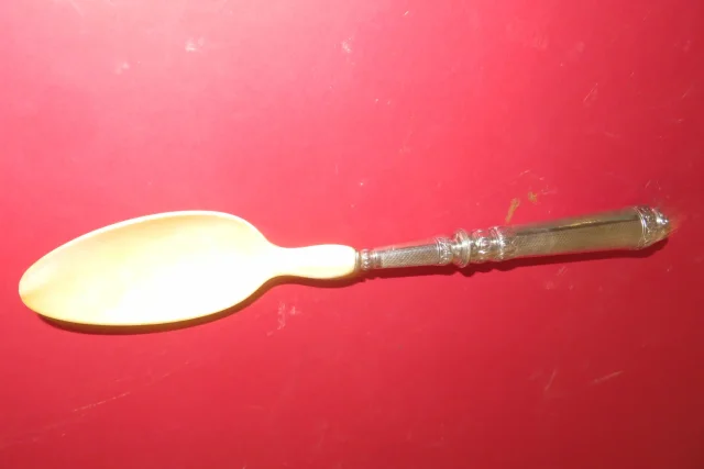 SILVER SALAD SERVING SET