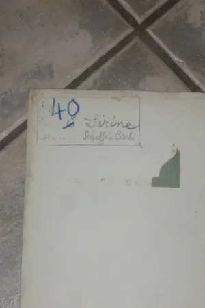 Deux Grands Dessins De Nus époque Début 20 ème.