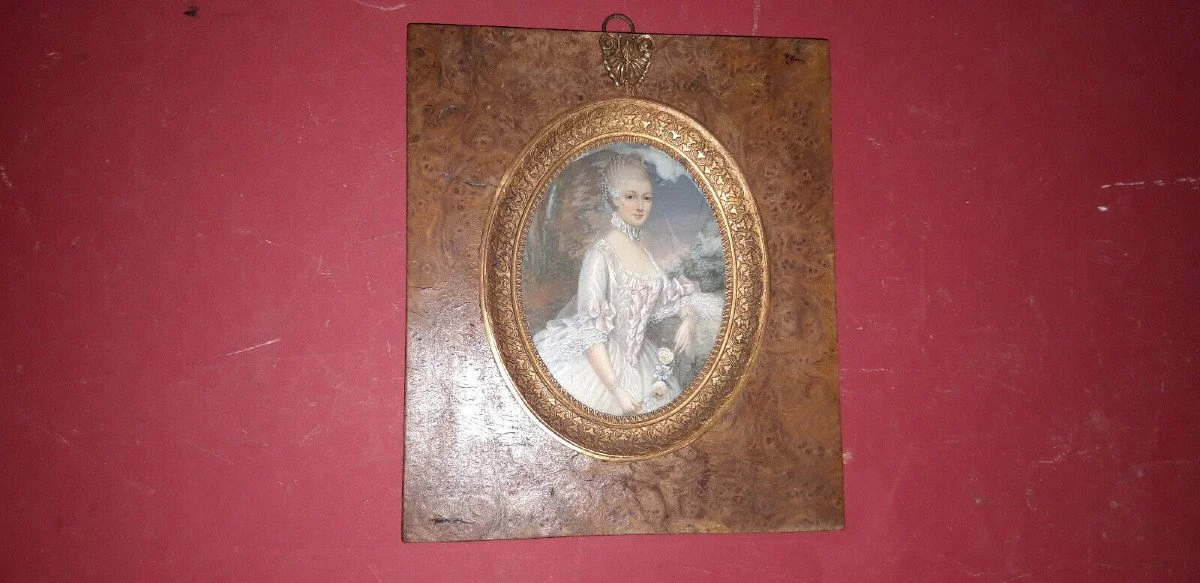 MINIATURA DEL XIX SECOLO