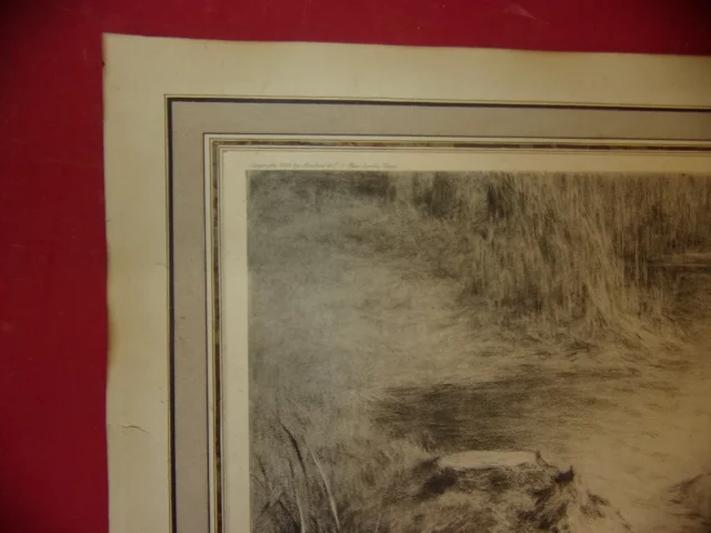 Setters Poursuivant Un Canard, Scène De Chasse, Lithographie époque Début 20ème.