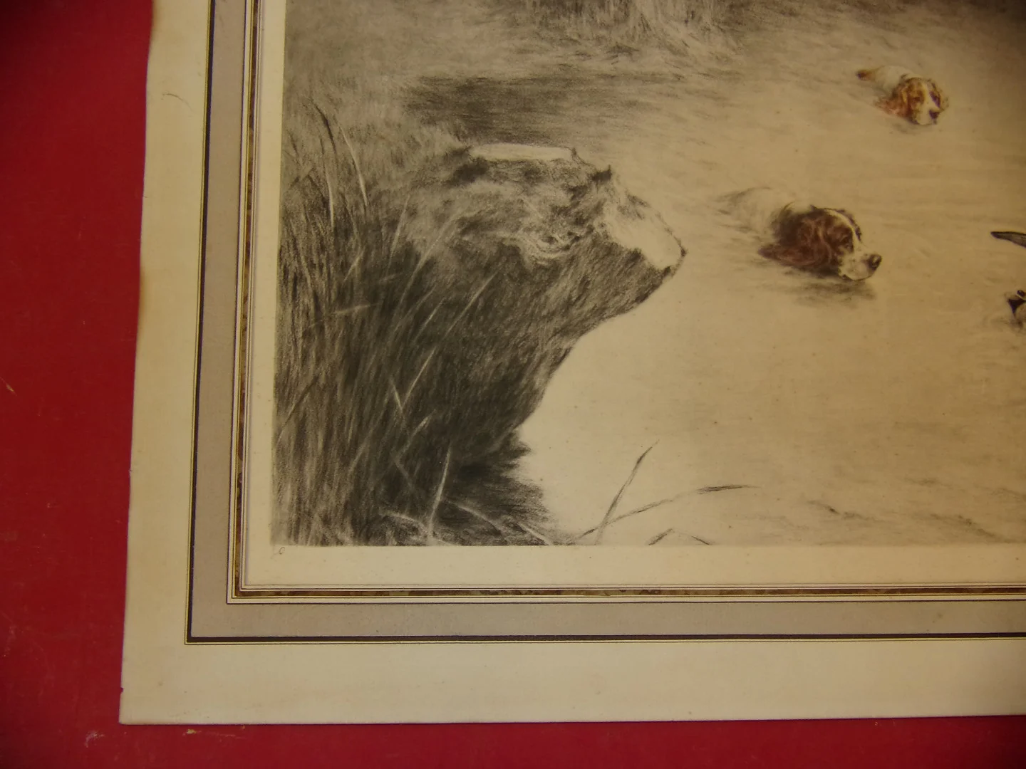 Setters Poursuivant Un Canard, Scène De Chasse, Lithographie époque Début 20ème.