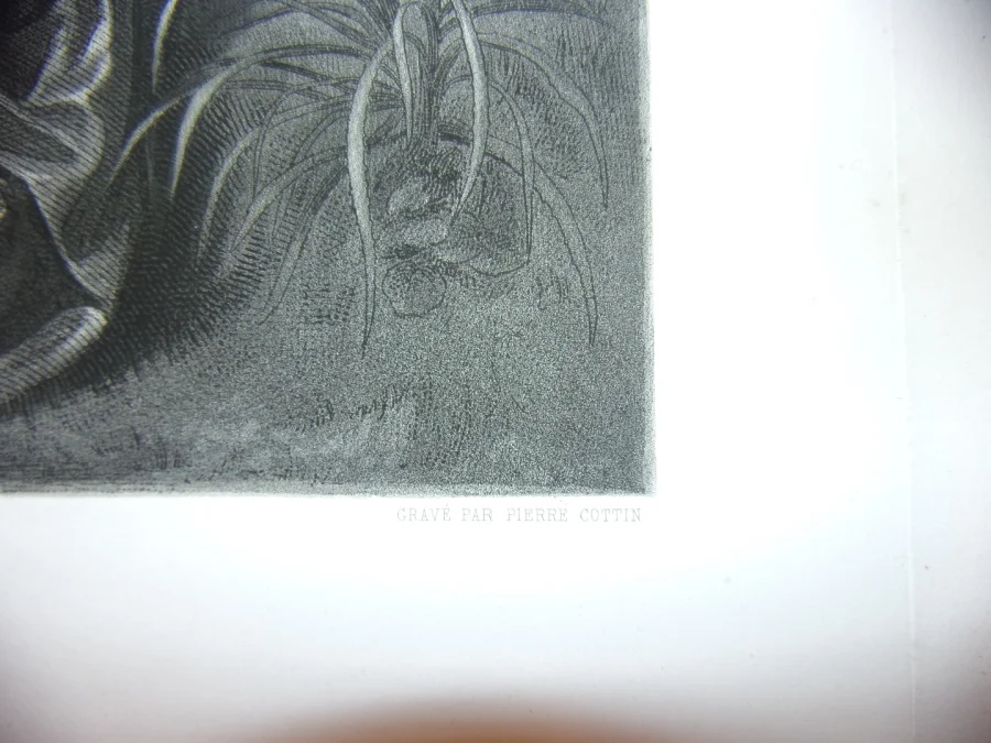 Le Tasse  ( Poète, écrivain ) à La Cour De Ferrare, Grande Gravure époque 19 ème.
