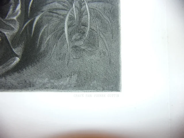 Le Tasse  ( Poète, écrivain ) à La Cour De Ferrare, Grande Gravure époque 19 ème.