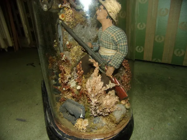 Pendule Aux Oiseaux Exotiques, Ouistiti, Sous Globe, époque 19 ème.