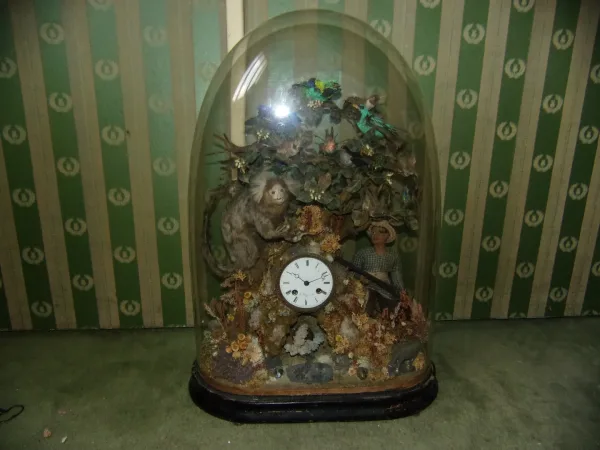 Pendule Aux Oiseaux Exotiques, Ouistiti, Sous Globe, époque 19 ème.