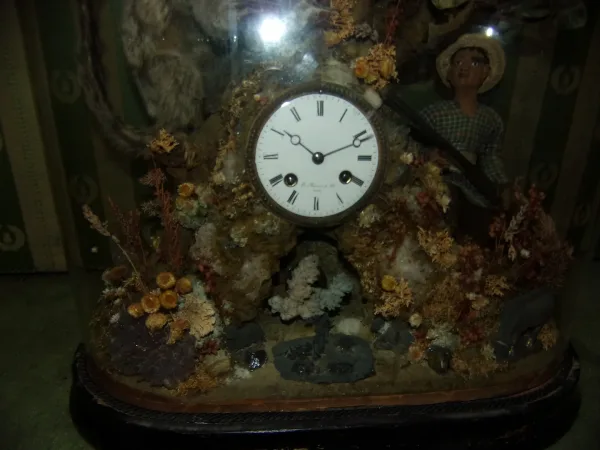 Pendule Aux Oiseaux Exotiques, Ouistiti, Sous Globe, époque 19 ème.