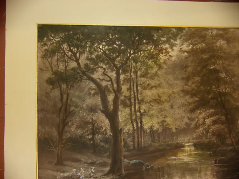 Une Etendue d'Eau Dans Un Sous-Bois, Gravure époque 19ème.