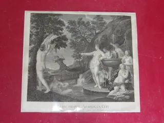 "diana Changes Actaeon Into A Stag", 18th Century Engraving.