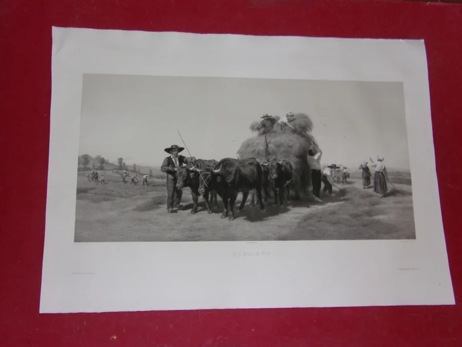 " Fenaison",   grande Gravure époque 19ème.