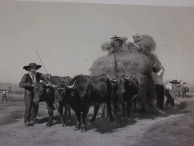 " Fenaison",   grande Gravure époque 19ème.