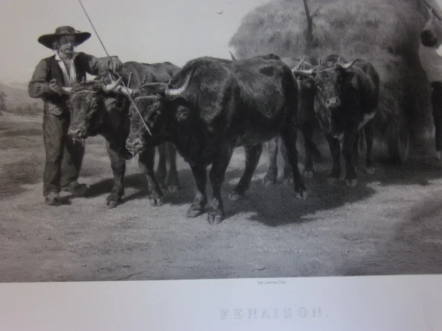 " Fenaison",   grande Gravure époque 19ème.