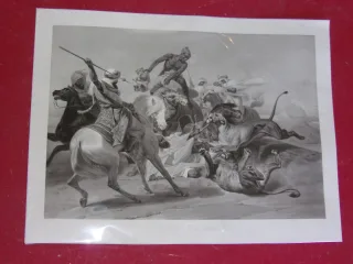 The "lion Hunt", Orientalist Engraving From The 19th Century.