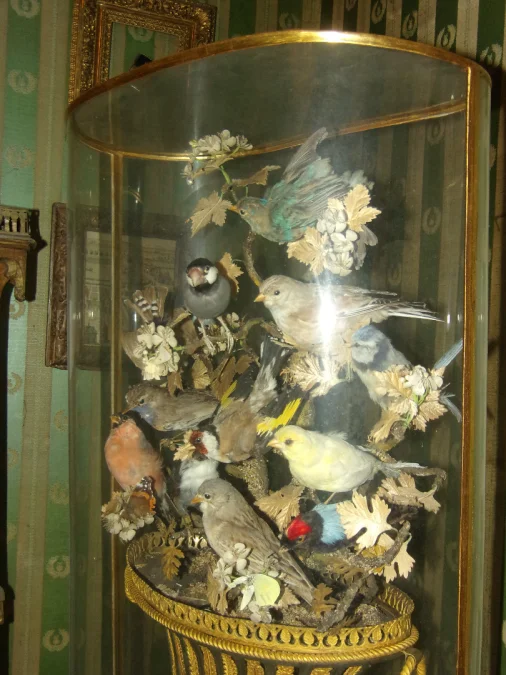 Large Musical Composition Under A Globe, Stuffed Birds, 19th Century.