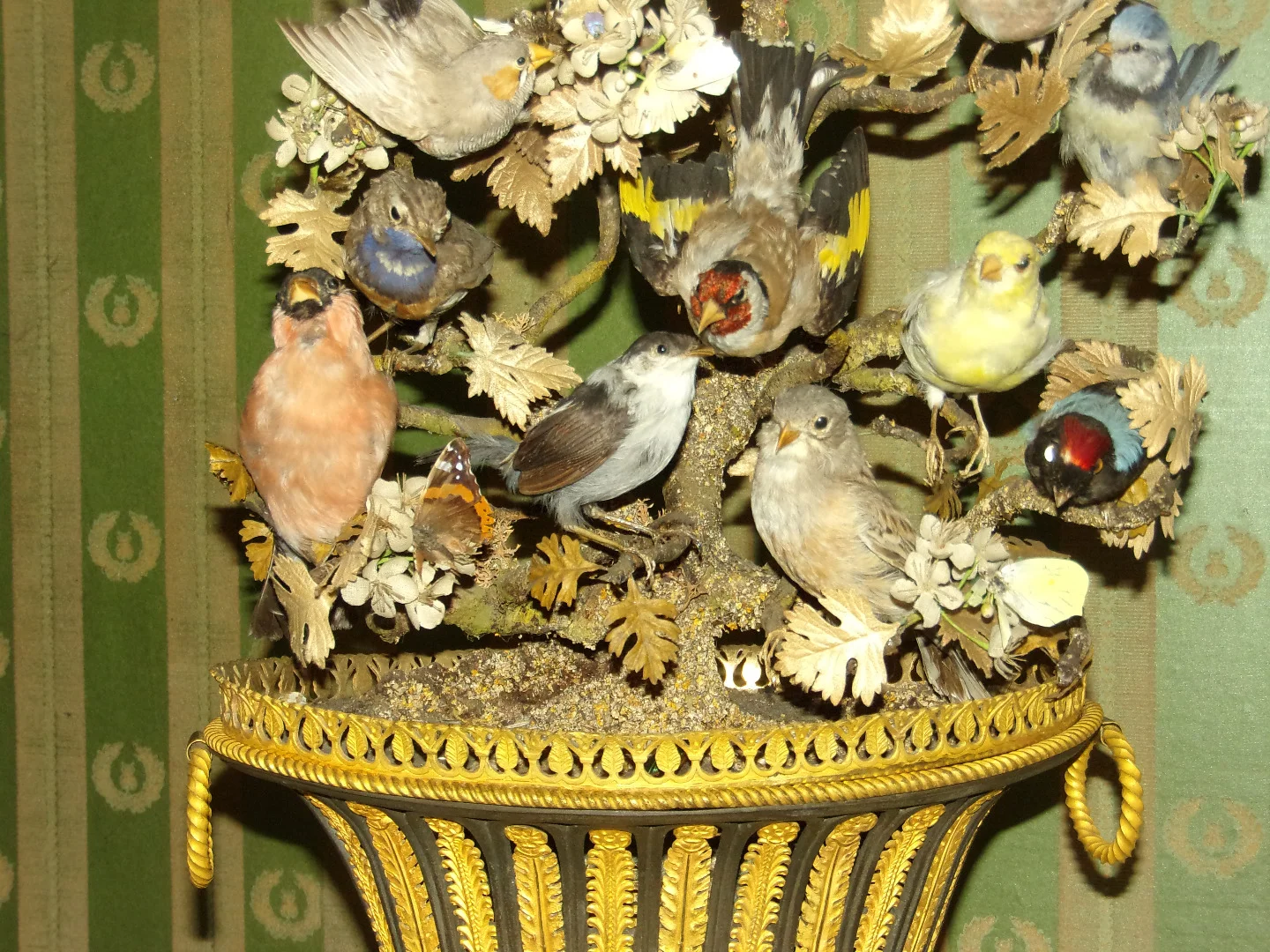Grande composition musicale sous globe, oiseaux naturalisés époque 19ème.