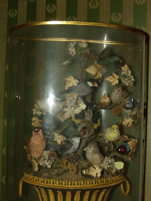 Large Musical Composition Under A Globe, Stuffed Birds, 19th Century.