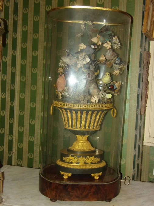 Large Musical Composition Under A Globe, Stuffed Birds, 19th Century.