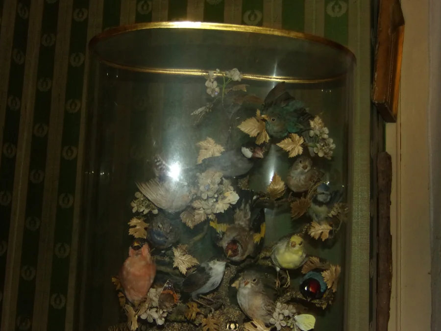 Large Musical Composition Under A Globe, Stuffed Birds, 19th Century.