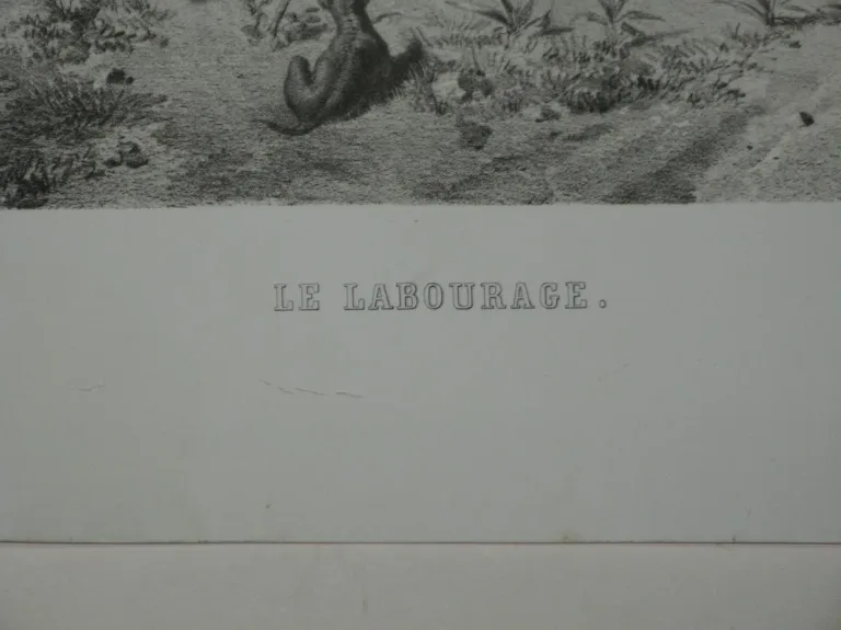 Paysage le " le labourage", lithographie, époque 19ème